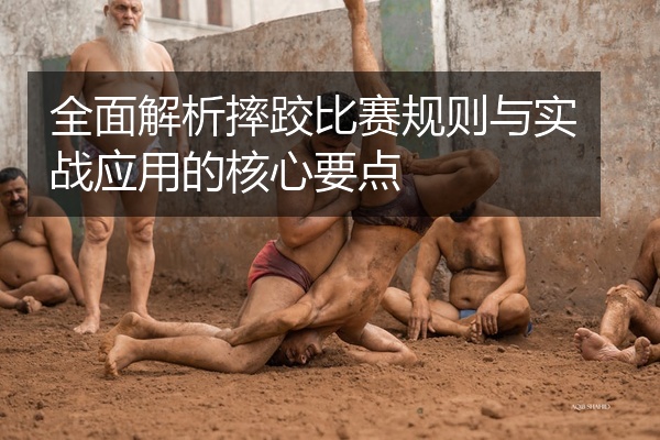 全面解析摔跤比赛规则与实战应用的核心要点